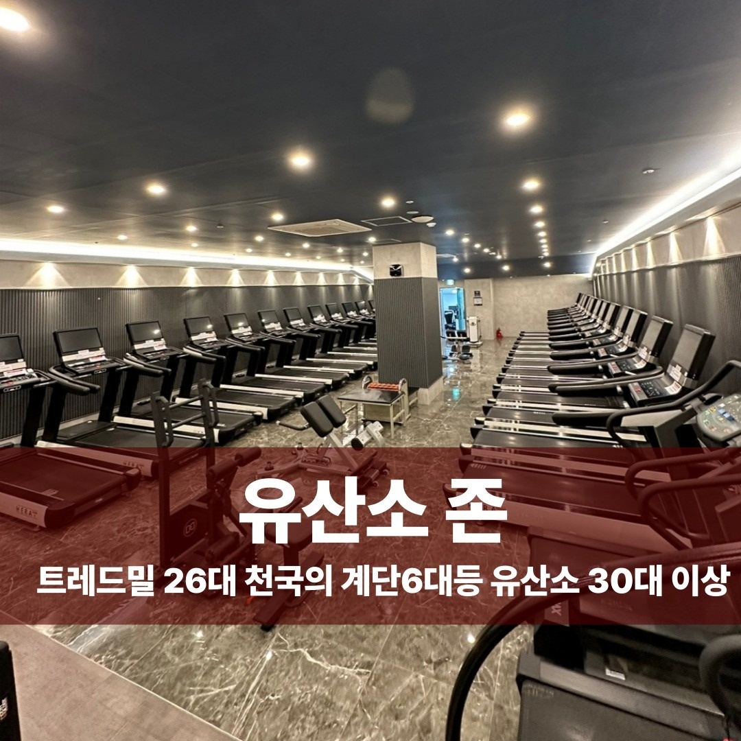 카인드짐 휘트니스 헬스 PT 야탑역점 picture 2