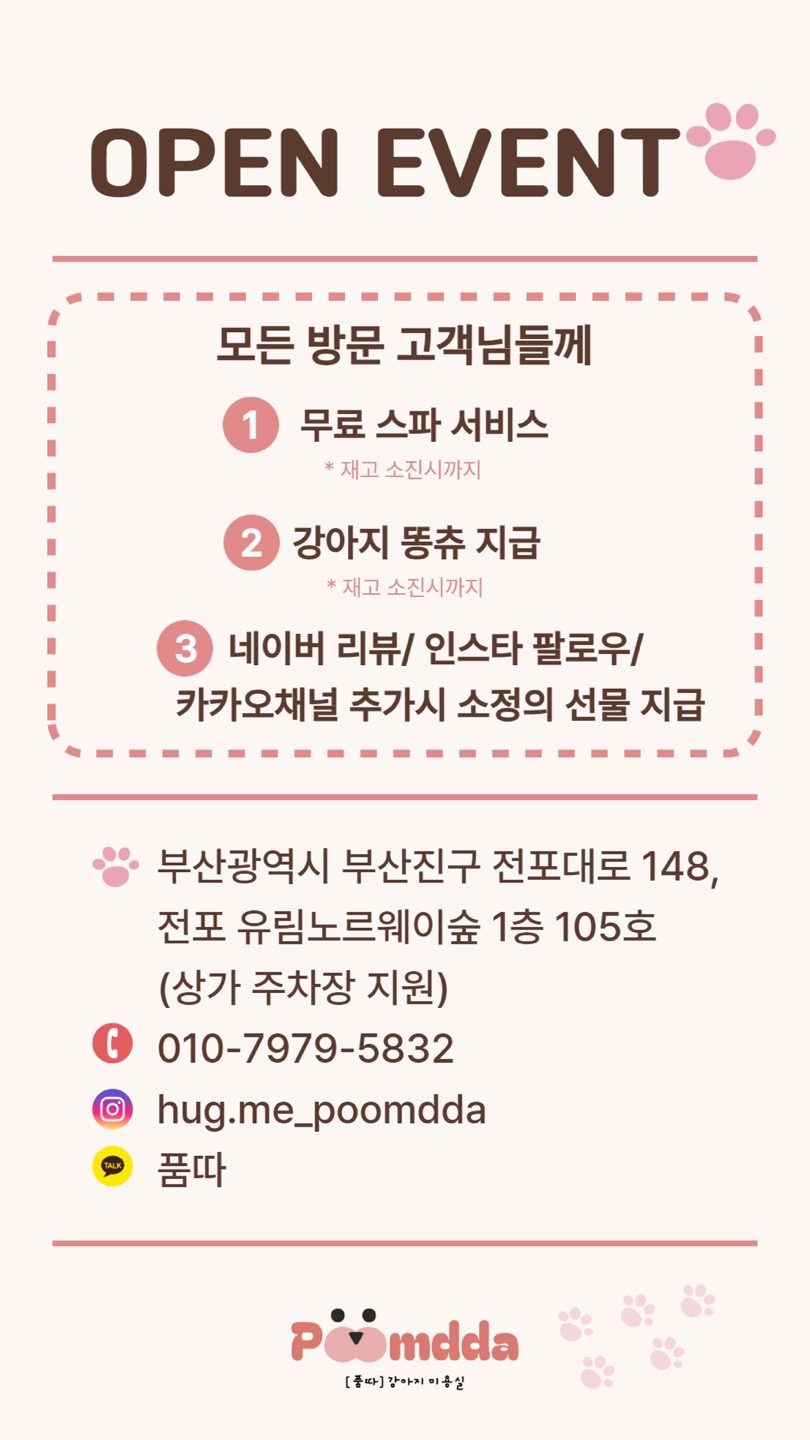 품따(poomdda) 강아지미용실 오픈 이벤트!!