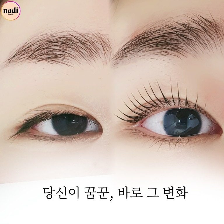 무료 속눈썹펌 이벤트 진행중