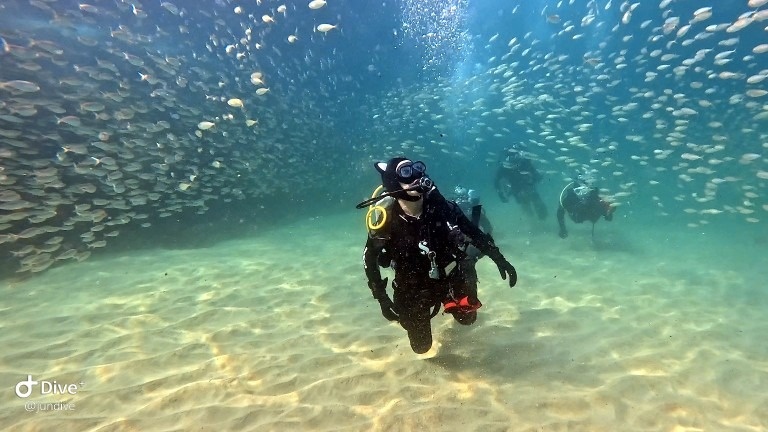 5PRO DIVE picture 3