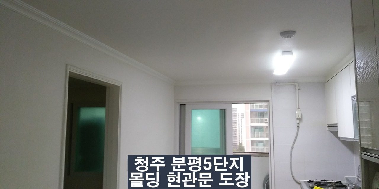 청주 분평 5단지 몰딩 방문 현관문 페인트 도장