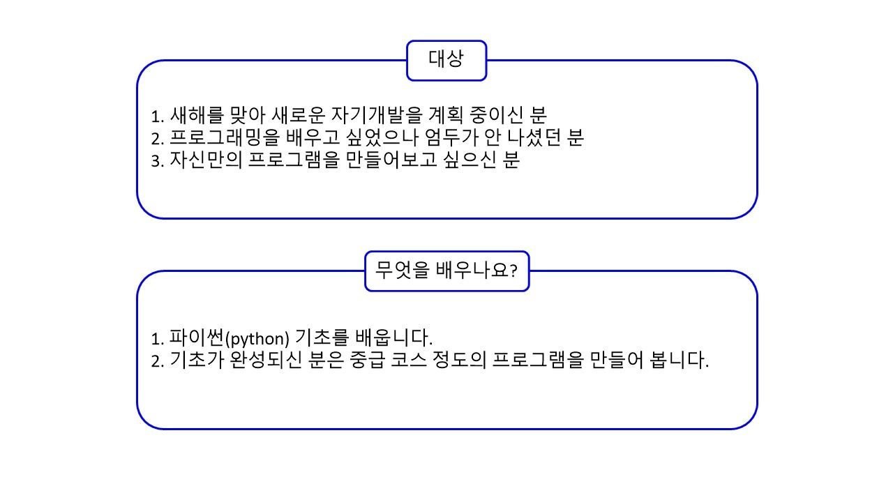 프로그래밍 1:1 개인 과외