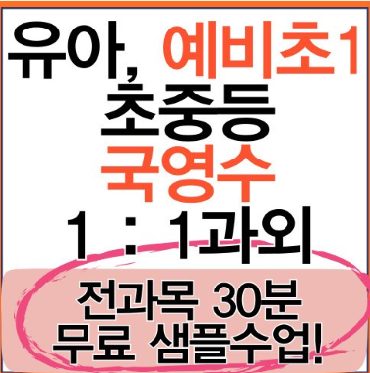 방문과외 개인과외 초등전과목과외 영어과외 수학과외 국어과외 예비초1과외 원어민영어과외 원어민영어회화 초등영