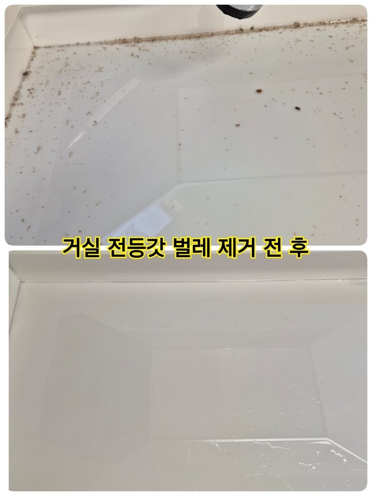 다정동 1단지 / 고양이털 청소🐈‍⬛ 소식 (8)