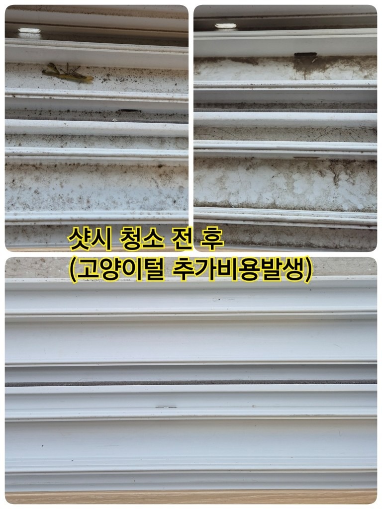 다정동 1단지 / 고양이털 청소🐈‍⬛ 소식 (9)