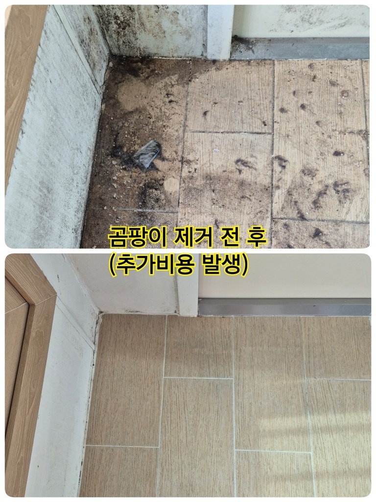 다정동 1단지 / 고양이털 청소🐈‍⬛ 소식 (3)