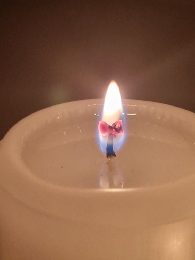 새해 복 많이 받으세요 쪼꼬동자 올림