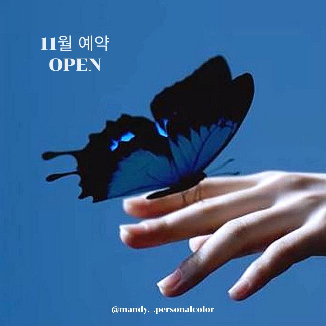 🦋2025 수능 수험생 할인 이벤트🦋