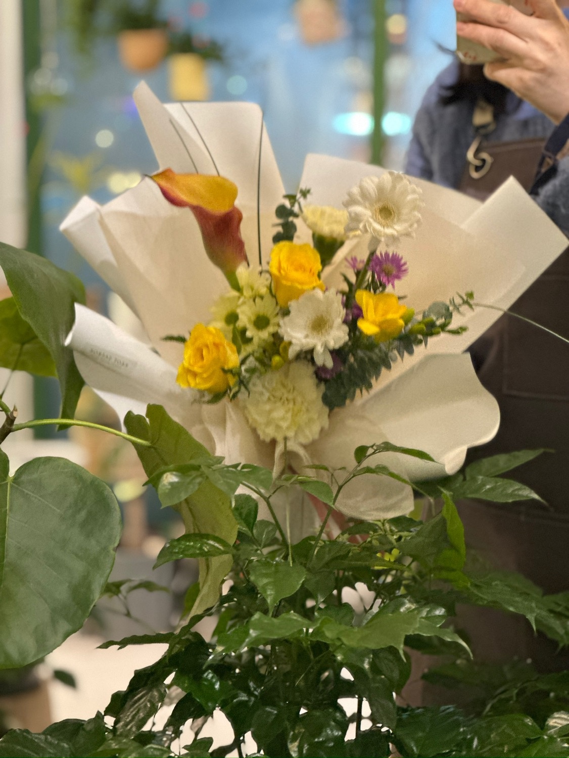 꽃새록 picture 8