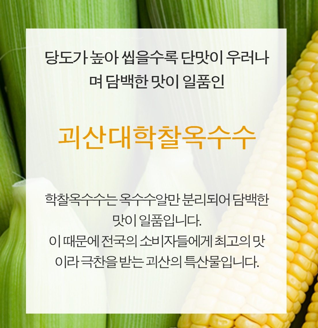 옥수수 마감입니다