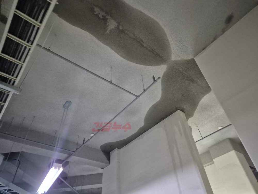 아파트 누수탐지 지하주차장 물샘 원인 파악하기