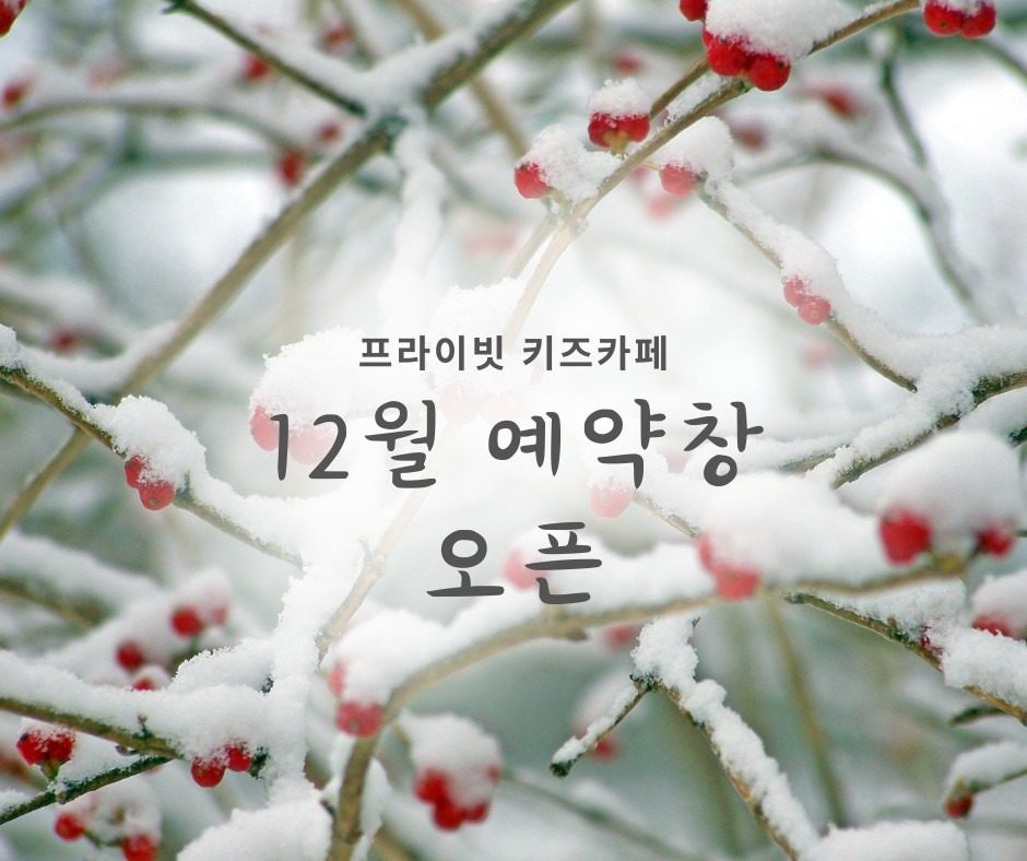 12월 예약창 오픈🎄