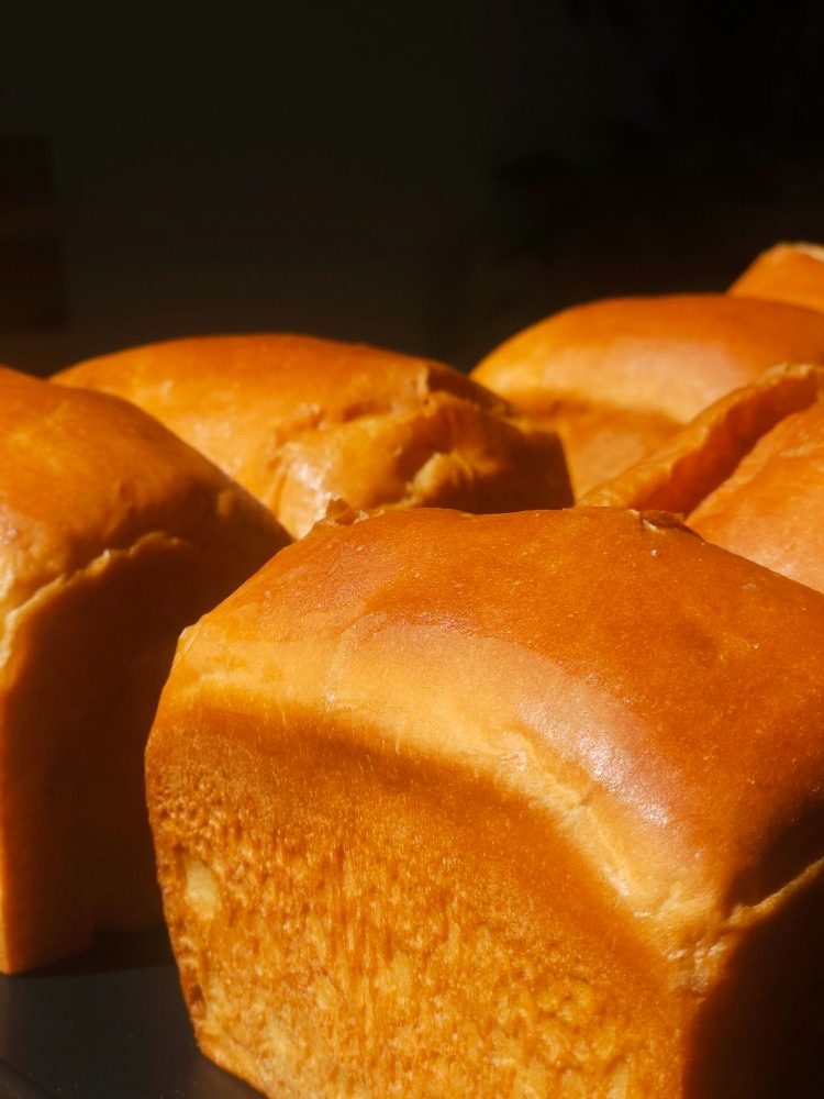 🍞오픈기념 소금빵+스페셜티 커피 세트 4,000원🍞
