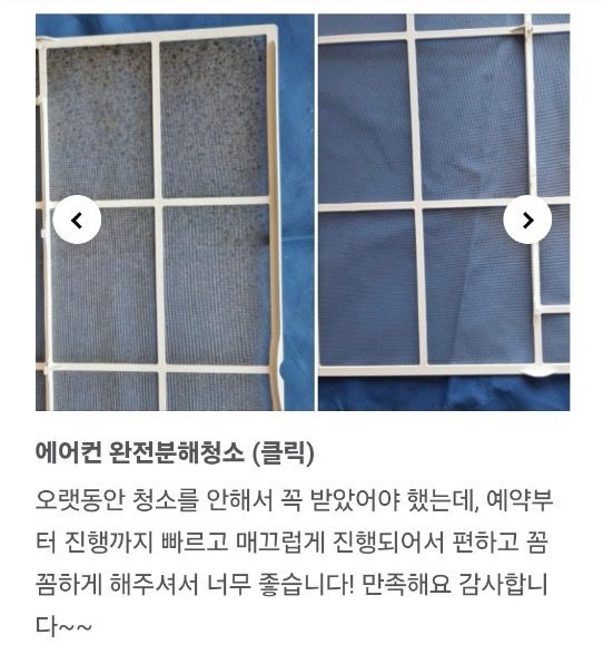 🔺강아지, 고양이도 곰팡이는 위험해요 🔺