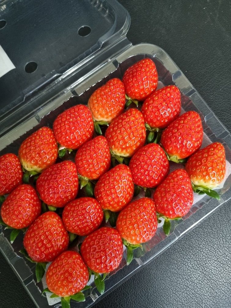 달달상큼 딸기 예약받아요~🍓