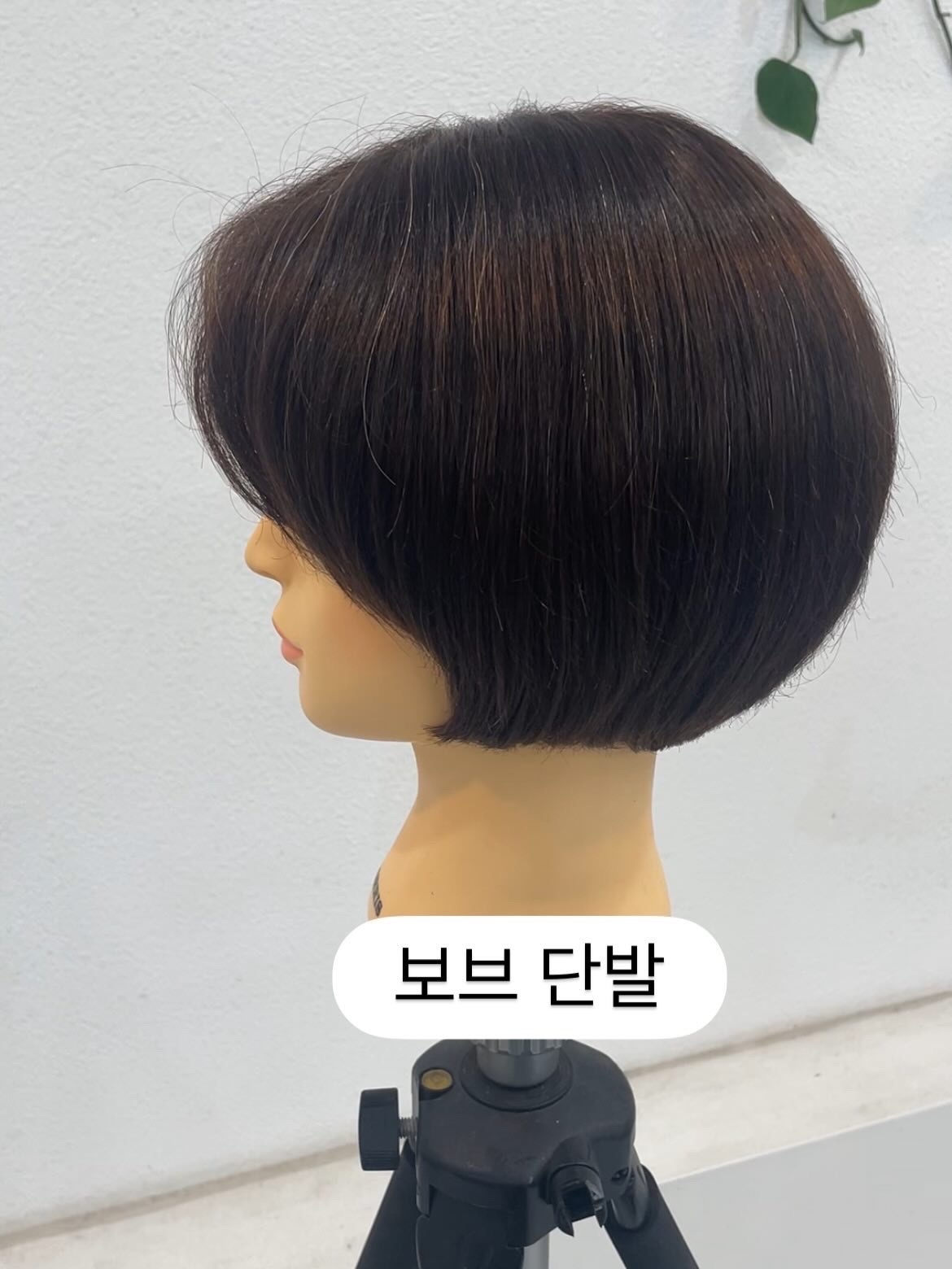 디자이너 동욱 picture 0