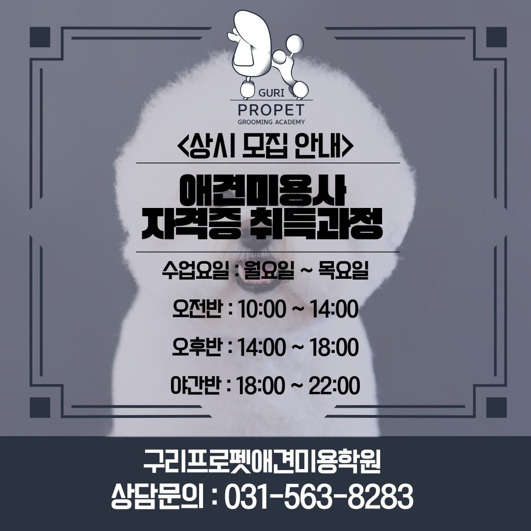 구리 프로펫 애견미용학원 일반반 상시모집