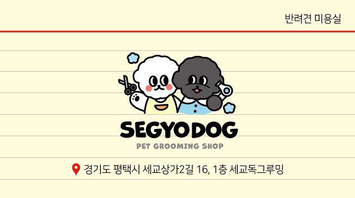 단골 스파 또는 팩 서비스