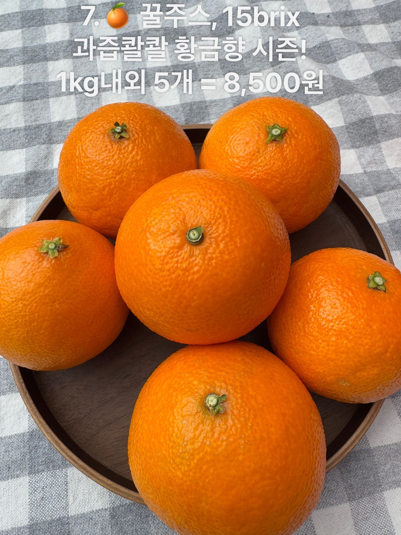 신선판다 picture 7