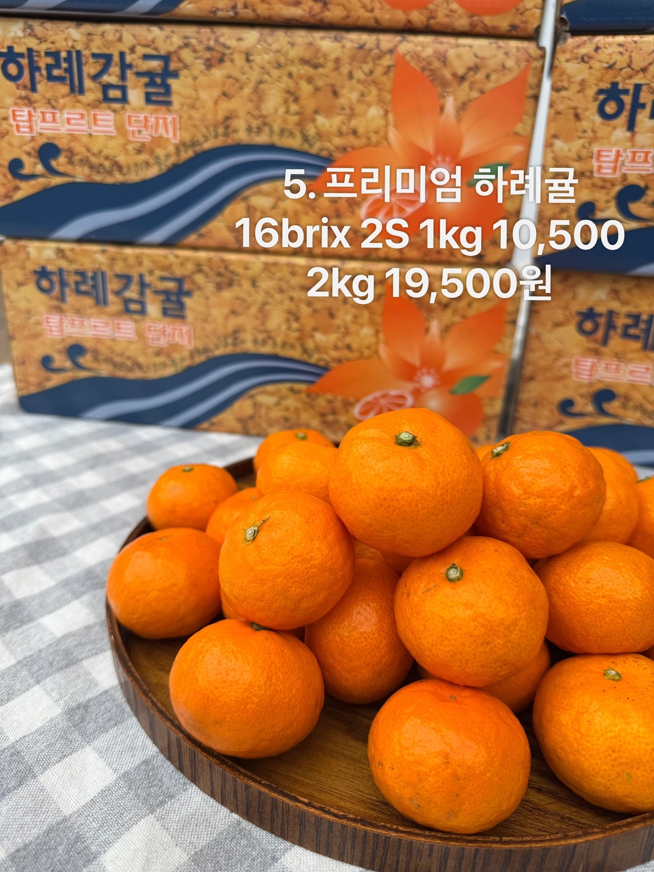 신선판다 picture 5