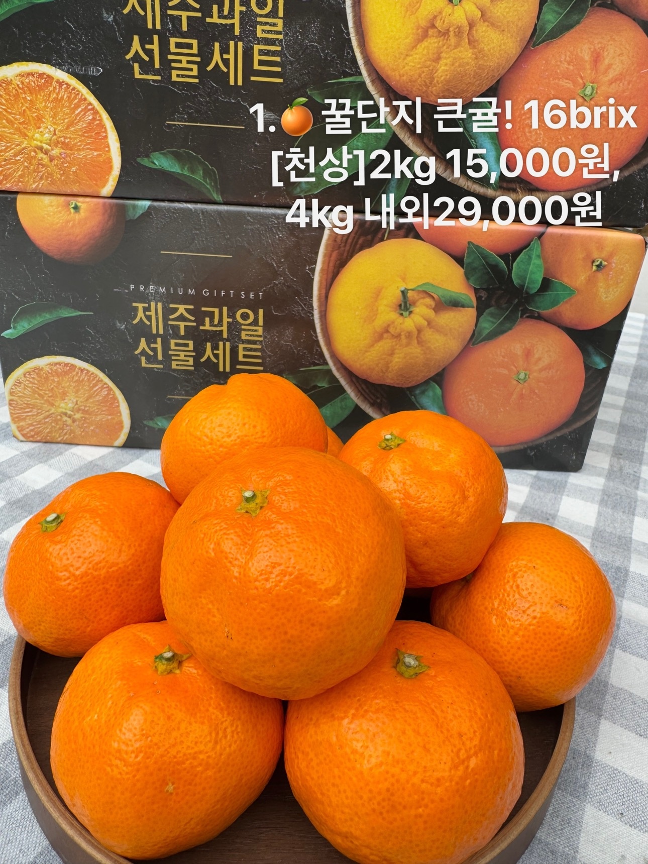 신선판다 picture 1