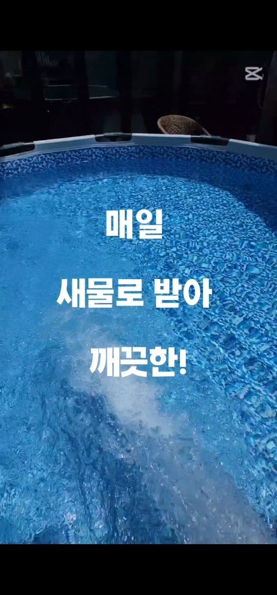 포레스트비치 picture 1