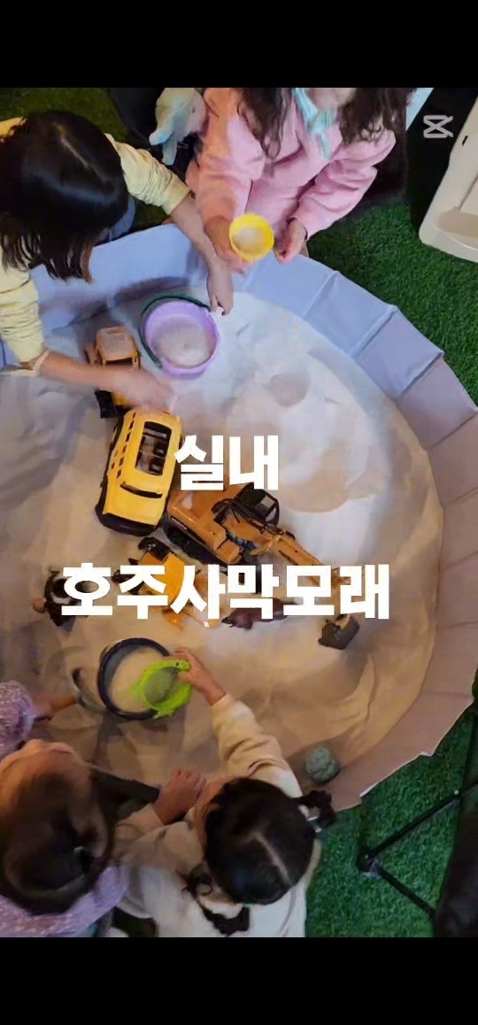 포레스트비치 picture 9
