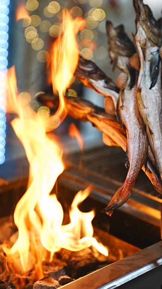 배가네숯노가리 picture 1