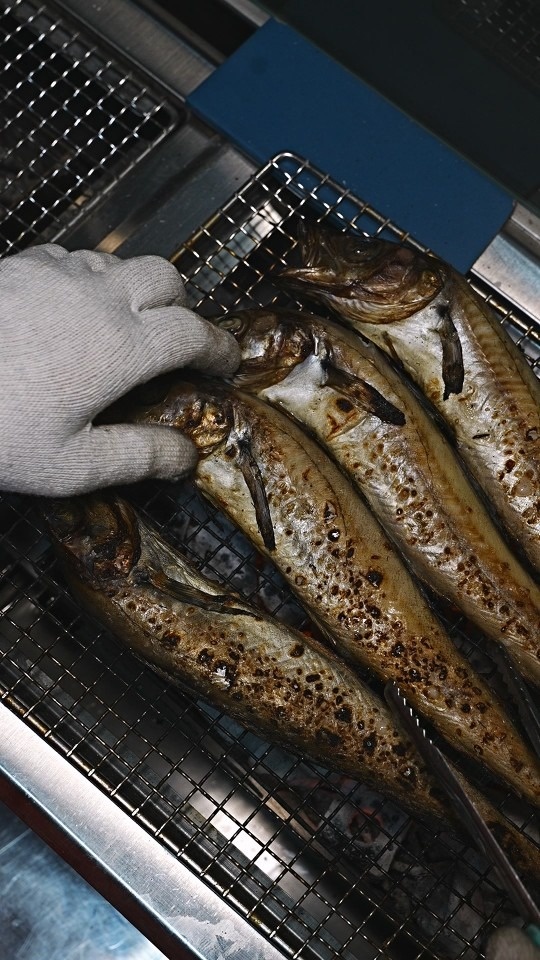 배가네숯노가리 picture 3