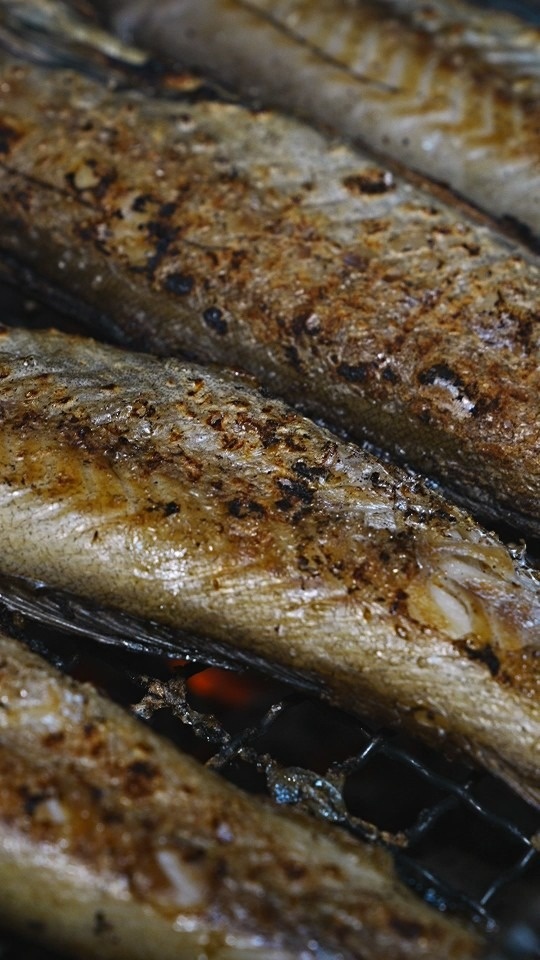 배가네숯노가리 picture 4