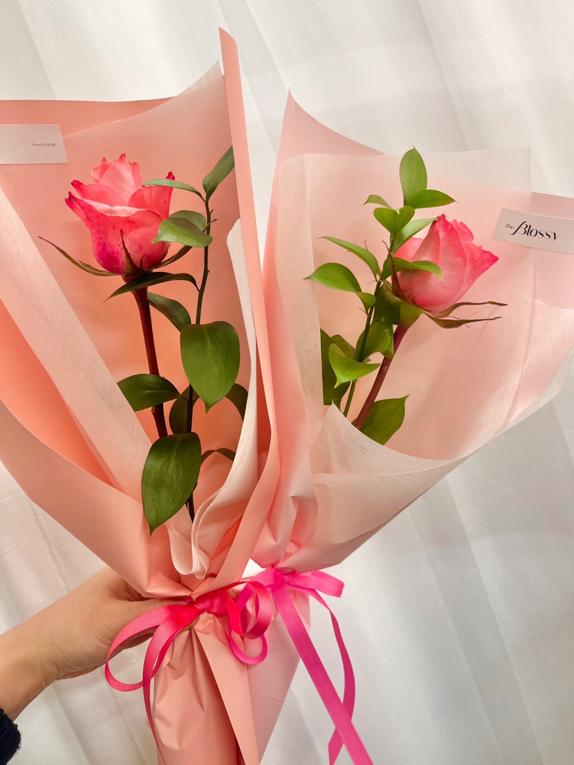 더블로시(the blossy) picture 4