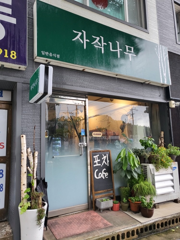 자작나무