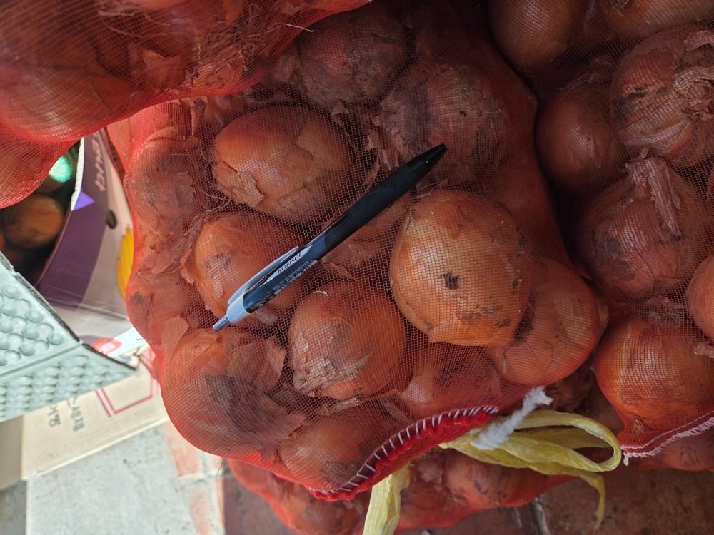 ●햇양파(2번) 20kg  19,800원●