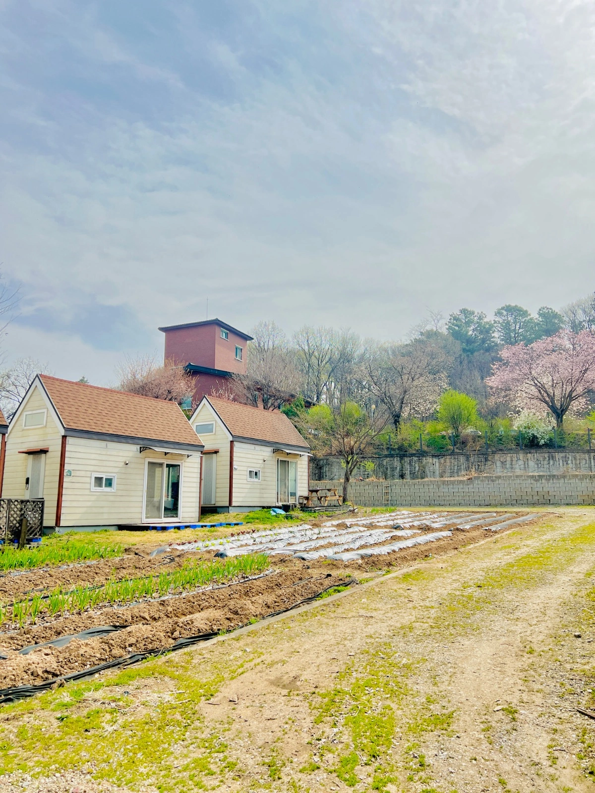 용인시 가족 전용 주말농장 경기도 용인시 처인구 원삼면 주말농장 당근 비즈 소식 