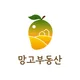 망고공인중개사사무소
