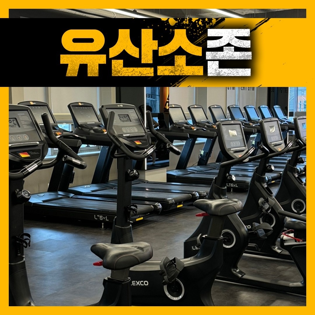 버트짐 picture 9