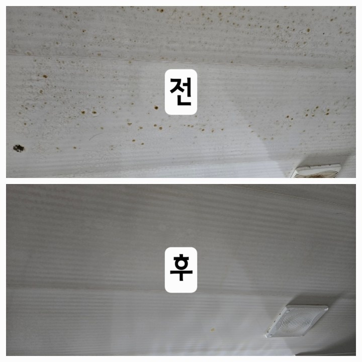 옆집언니 홈케어 picture 6