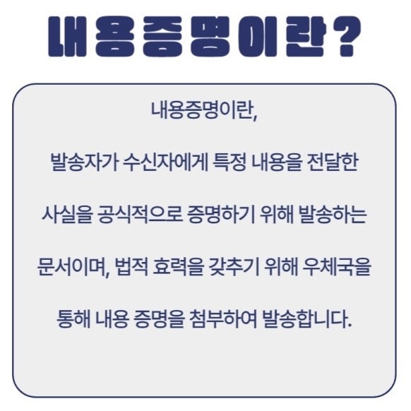 디씨티 picture 2