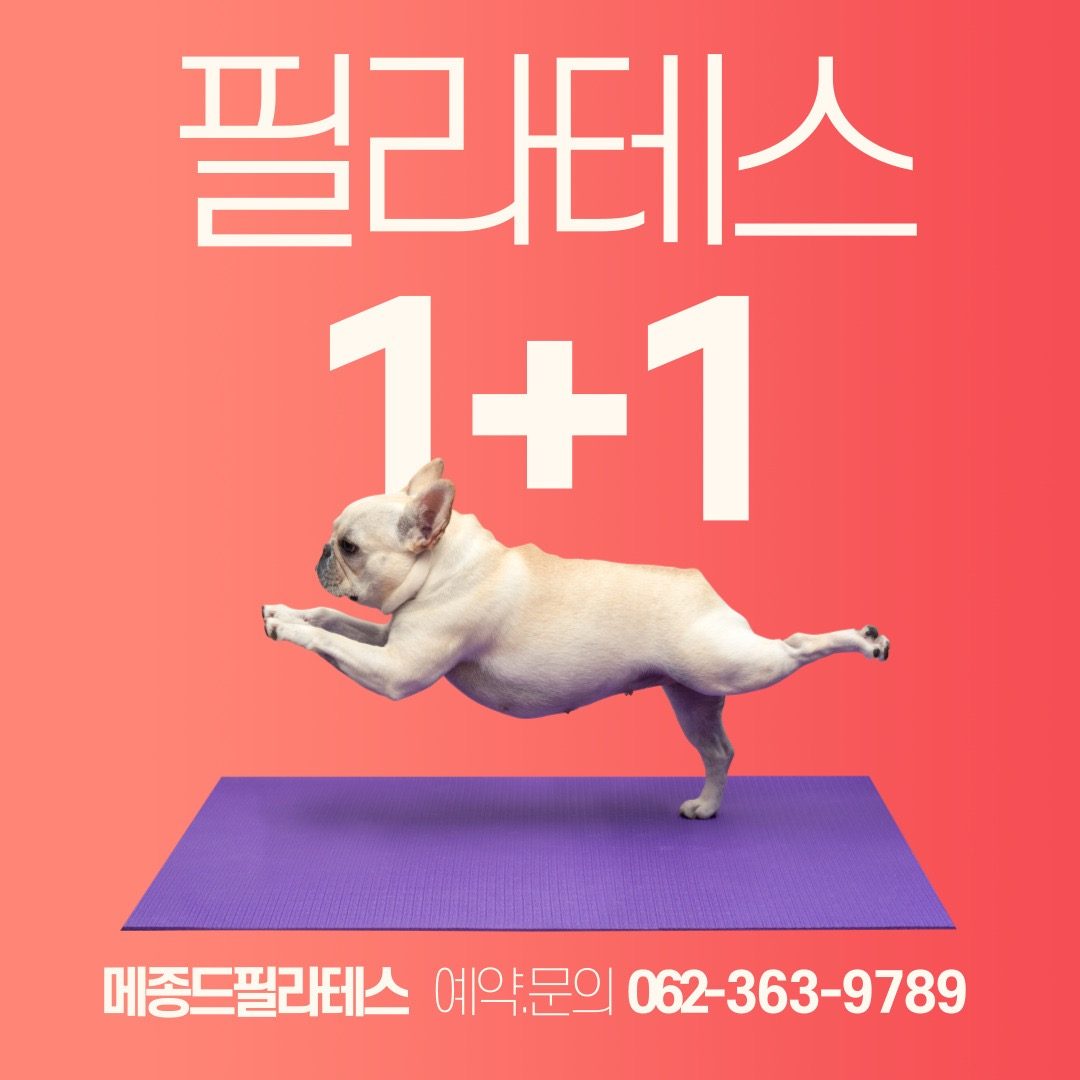 🤎 가을맞이 필라테스 1+1 이벤트 🤎