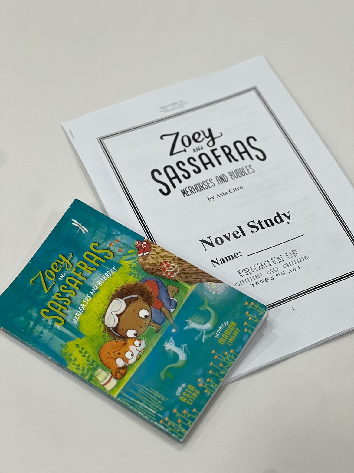 겨울방학 저학년 Novel Study - Zoey and Sassafras: Merhorses and Bubbles