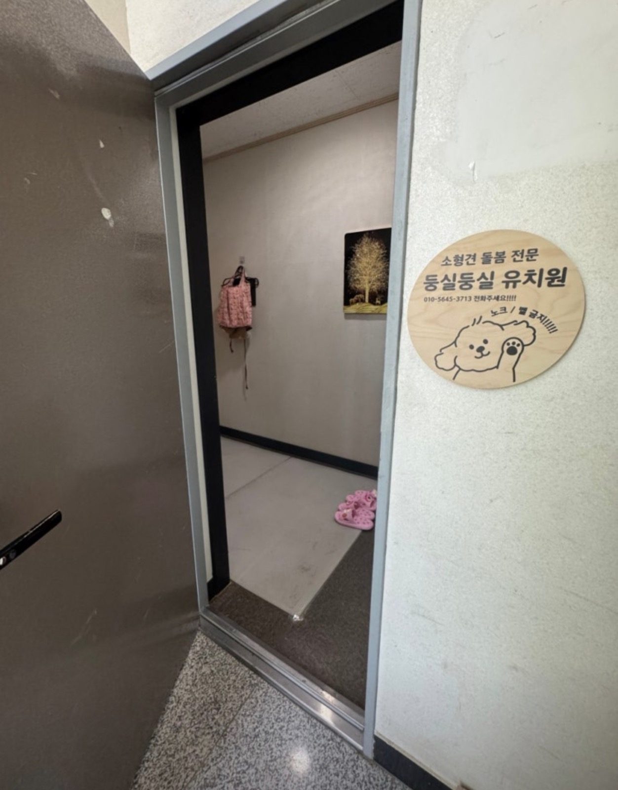 소형견 전문 돌봄유치원🐥🐶🐥