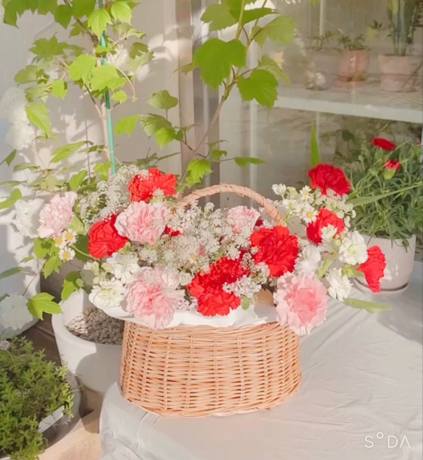 5월은 가정의 달 ~  꽃이 답입니다 🌷예약주세요