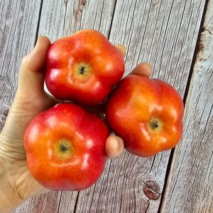 (24년도 첫 수확, 오픈!) SNS에서 핫한 별모양 사과⭐️ 영주 별사과 🍎 귀여운 모양에 맛도 좋은 사과!