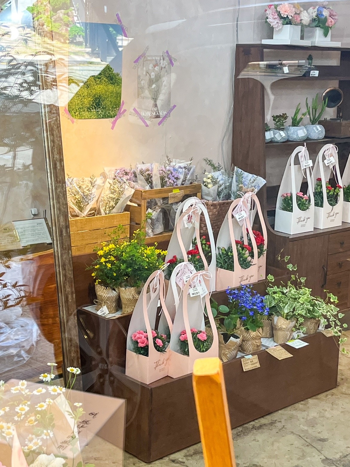 오지구프로젝트 picture 7