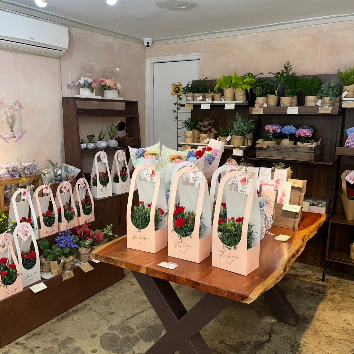 오지구프로젝트 picture 4