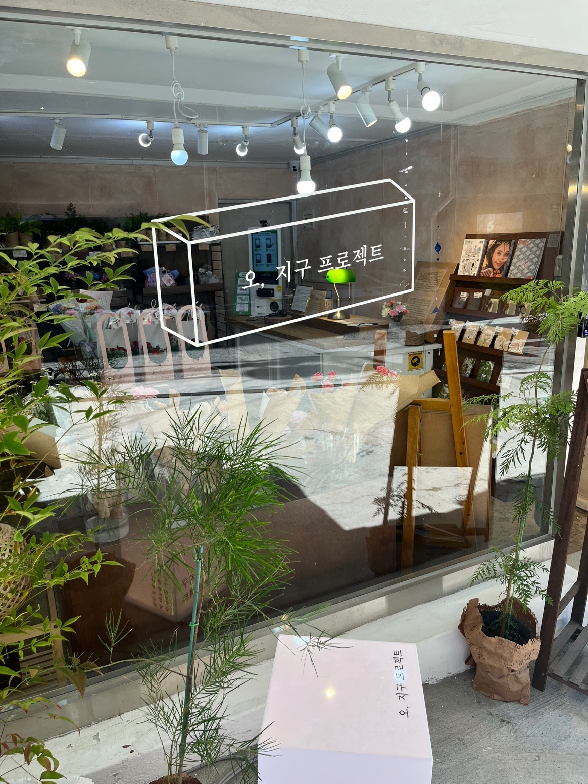 오지구프로젝트 picture 6