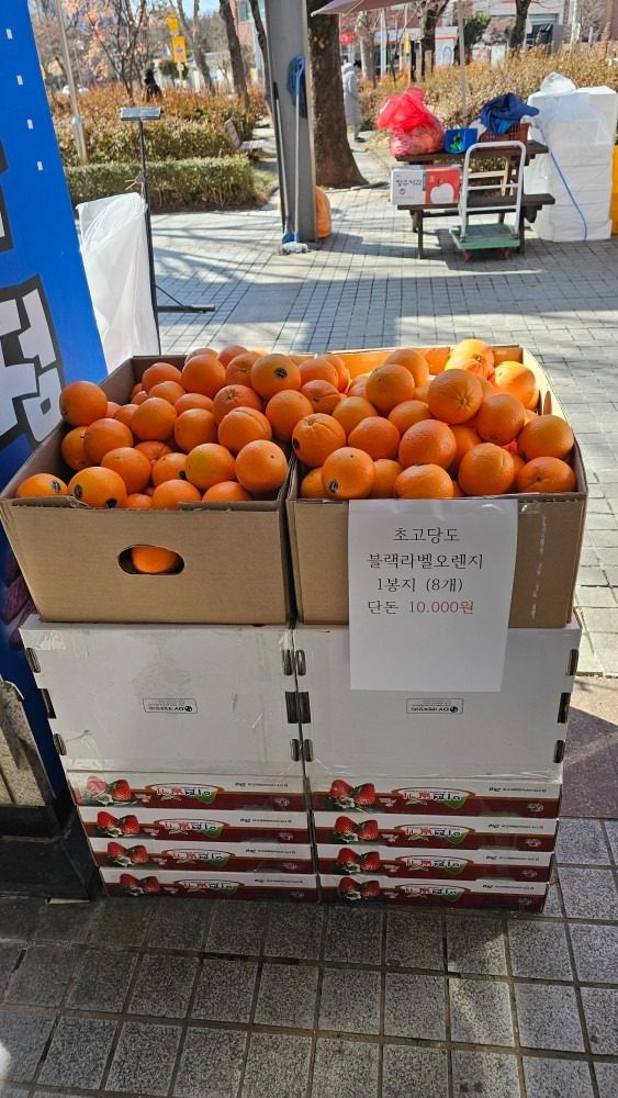 전민동착한정육점