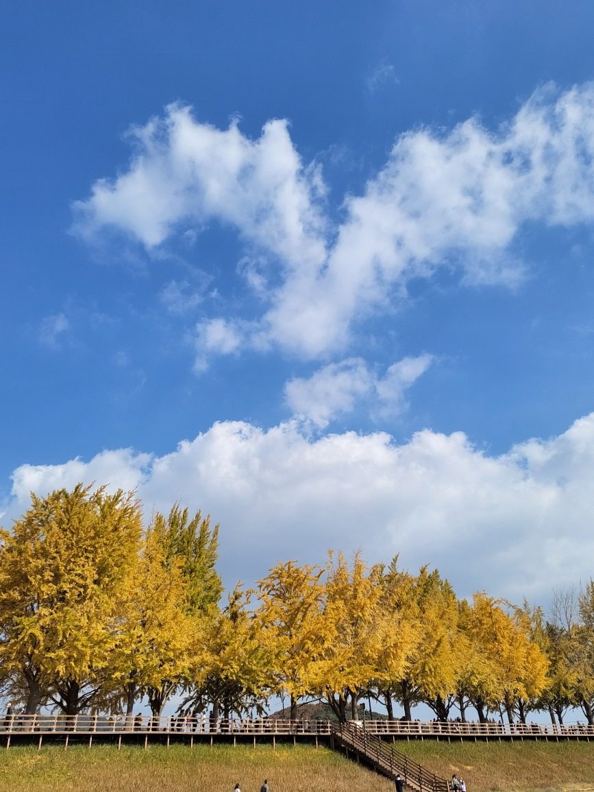 🍎용달이사🍒 가전가구운반.리프트용달.원룸이사포장이사