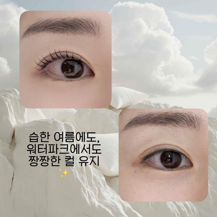 관련 이미지2