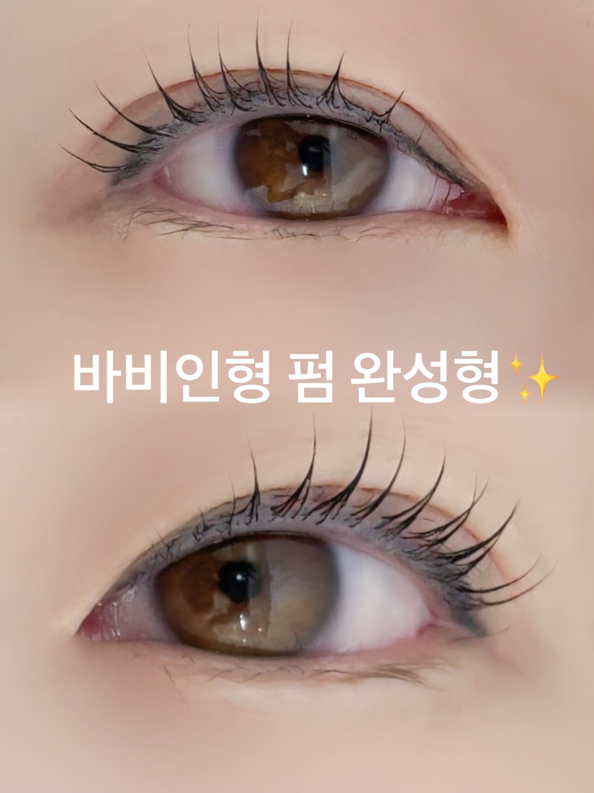관련 이미지2